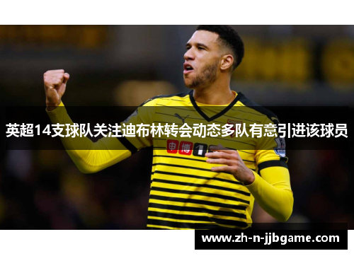 英超14支球队关注迪布林转会动态多队有意引进该球员 英超14支球队关注迪布林转会动态多队有意引进该球员