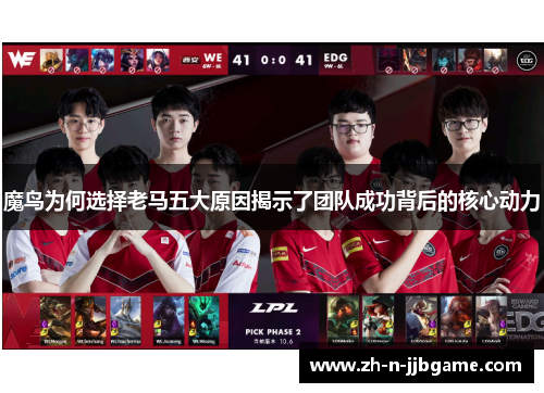 魔鸟为何选择老马五大原因揭示了团队成功背后的核心动力